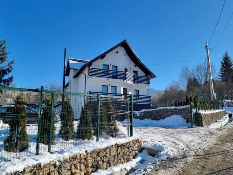 Transylvania House บอร์ชา ภายนอก รูปภาพ